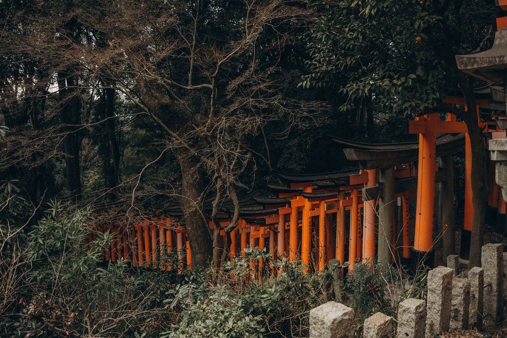 Lange Reihe roter Torii im Wald am Fushimi Inari Taisha