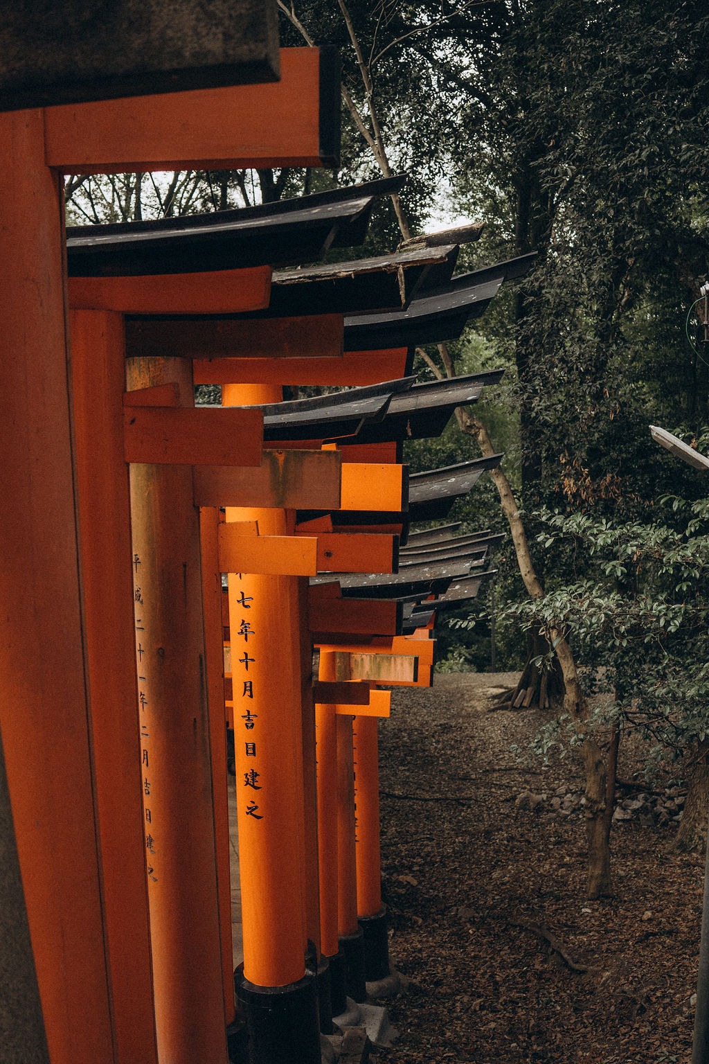 Reihe roter Torii am Fushimi Inari Taisha in Kyoto